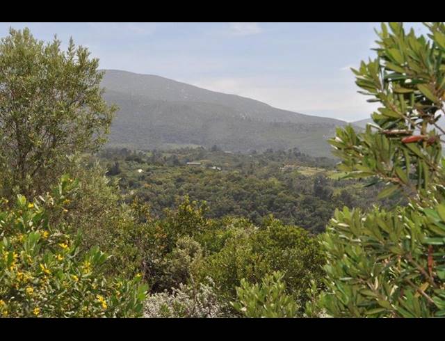 LAND FOR SALE IN WILDERNESS HEIGHTS